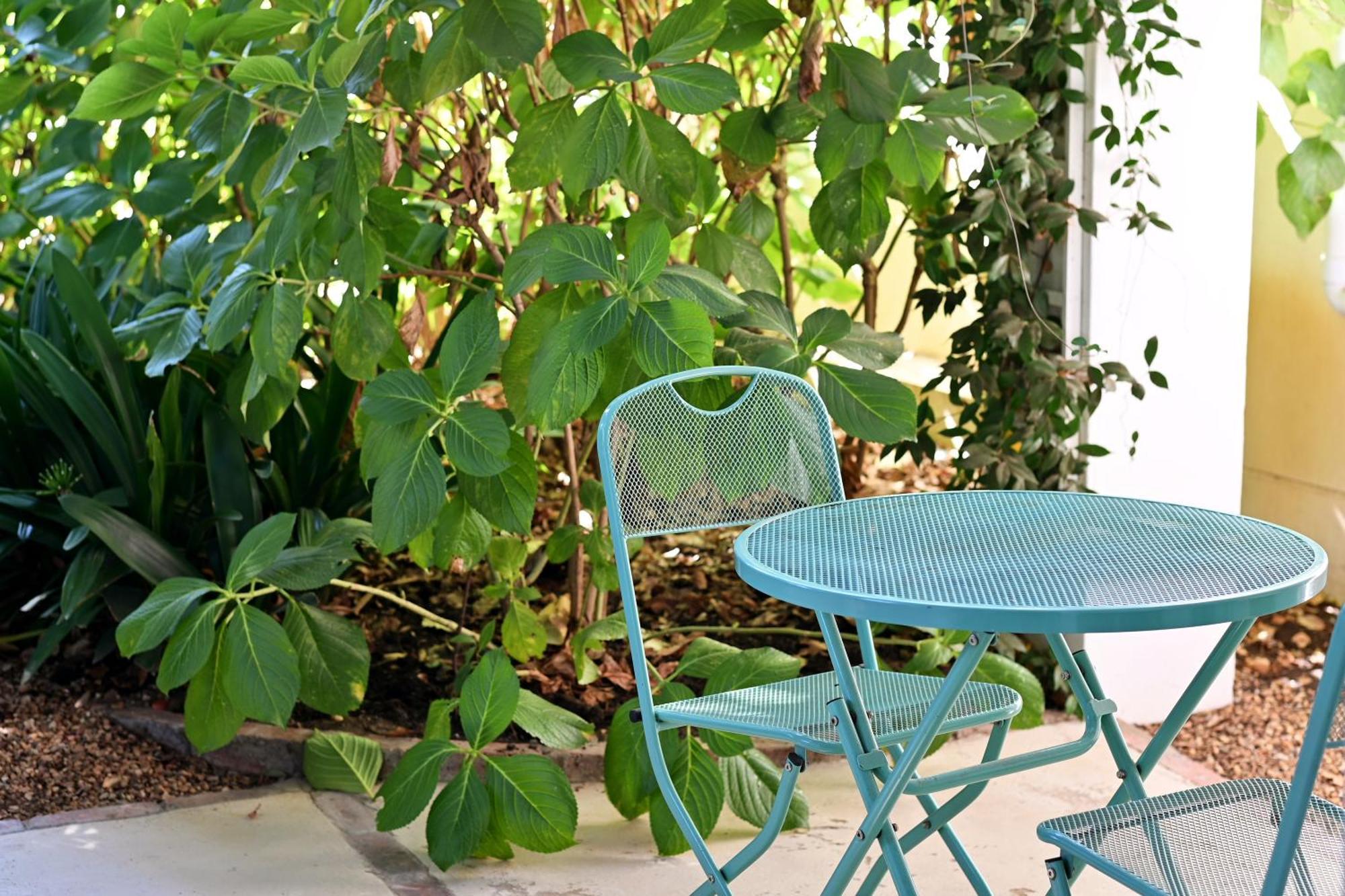 Fransvliet Guest House فرانستشوك المظهر الخارجي الصورة